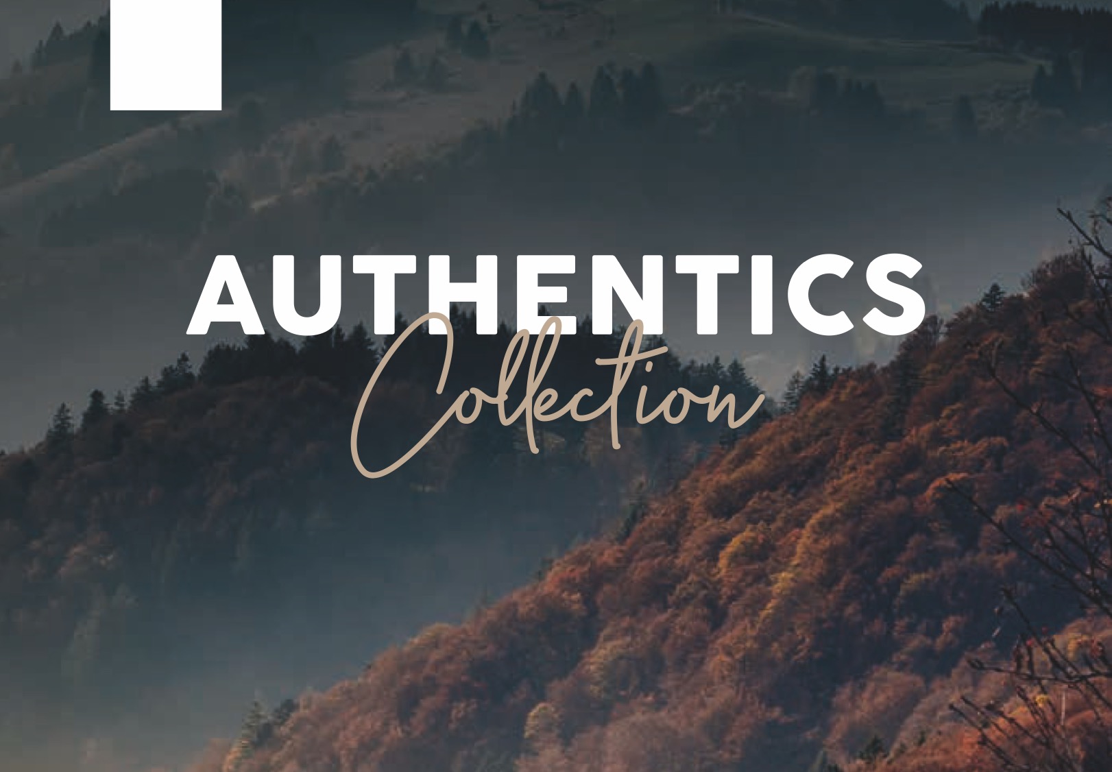 Authentics Collection 2025
